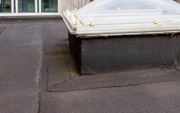 disadvantages of Balnadelson flat roofs