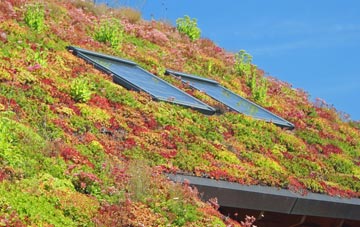 Balnadelson living roof systems