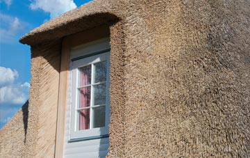 Balnadelson thatch roof disadvantages