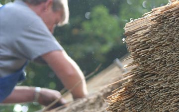 professional Balnadelson thatchers