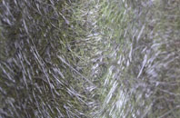 Balnadelson fibreglass roof work