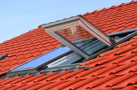 Balnadelson roof window
